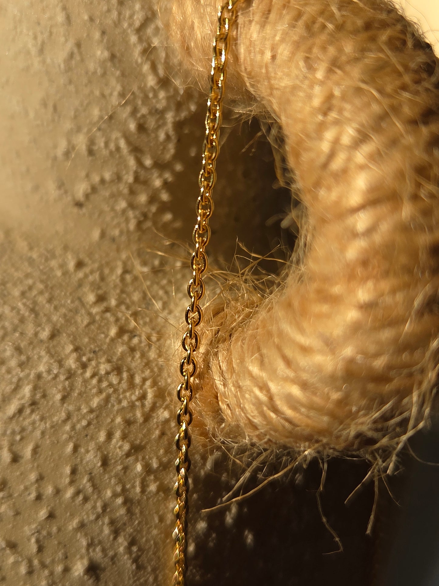 Chaîne Forçat Ronde en or 18 carats – Atelier Paris | Médalhia